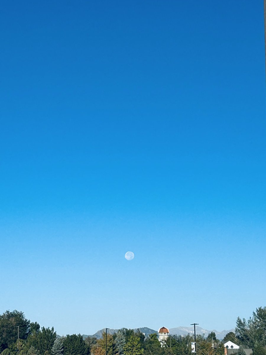 RLS (@raelees) on Twitter photo 