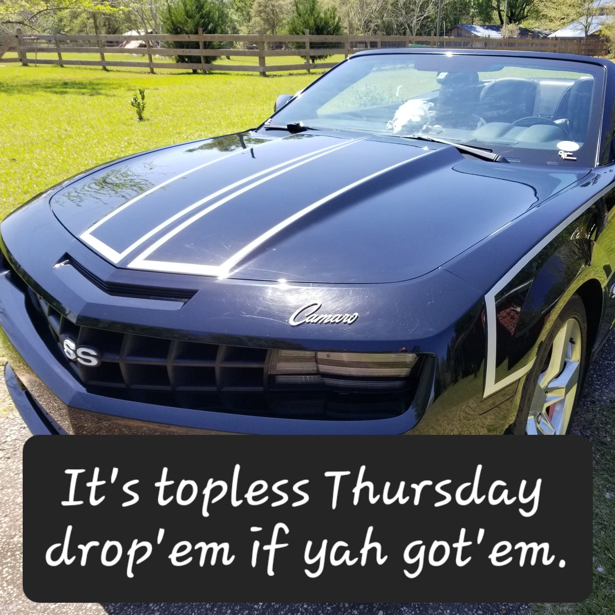 SwampGAS16's tweet photo. #ToplessThursday #ToplessLife https://t.co/aezEyERtf8