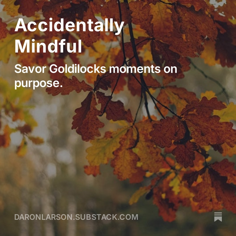 DaronLarson's tweet image. I recommend savoring Goldilocks circumstances—those ideal, fleeting moments when nothing needs to change, but we ruminate and miss their richness.

open.substack.com/pub/daronlarso…