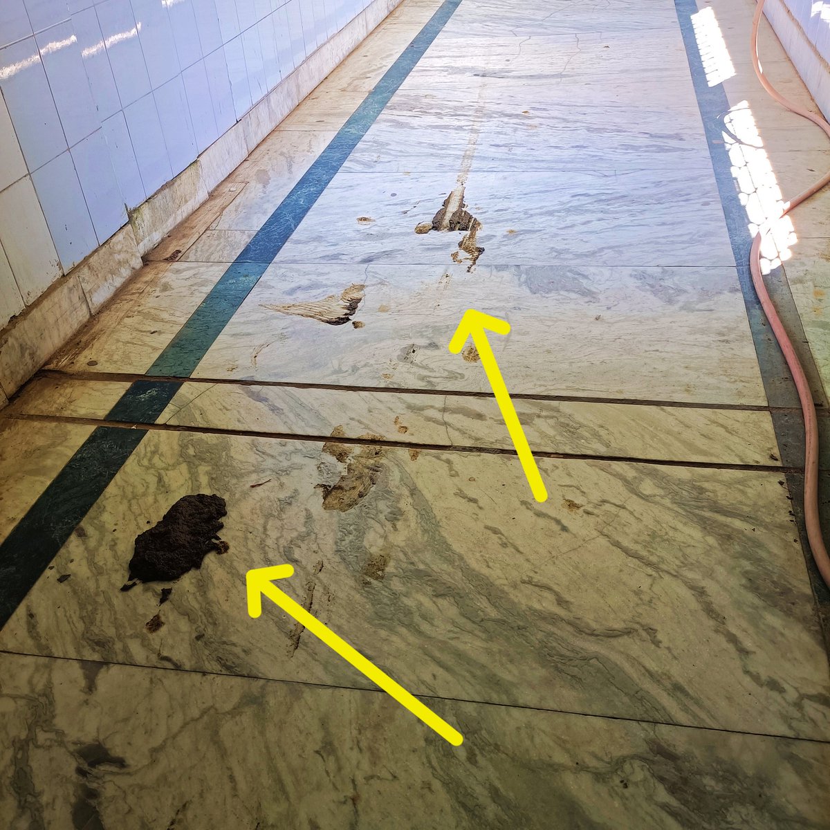 ABSTechOfficial's tweet photo. The current situation of silchar medical College, where 38° 40°+ temperature but all the fans are not working, in the other image cow's dung on the floor ! Q. Kiya ye  veterinary hospital hai? #silcharmedicalcollege
@Dipayan_Silchar @CMOfficeAssam @PMOIndia
#SwachhBharatMission https://t.co/4514CyEK8r
