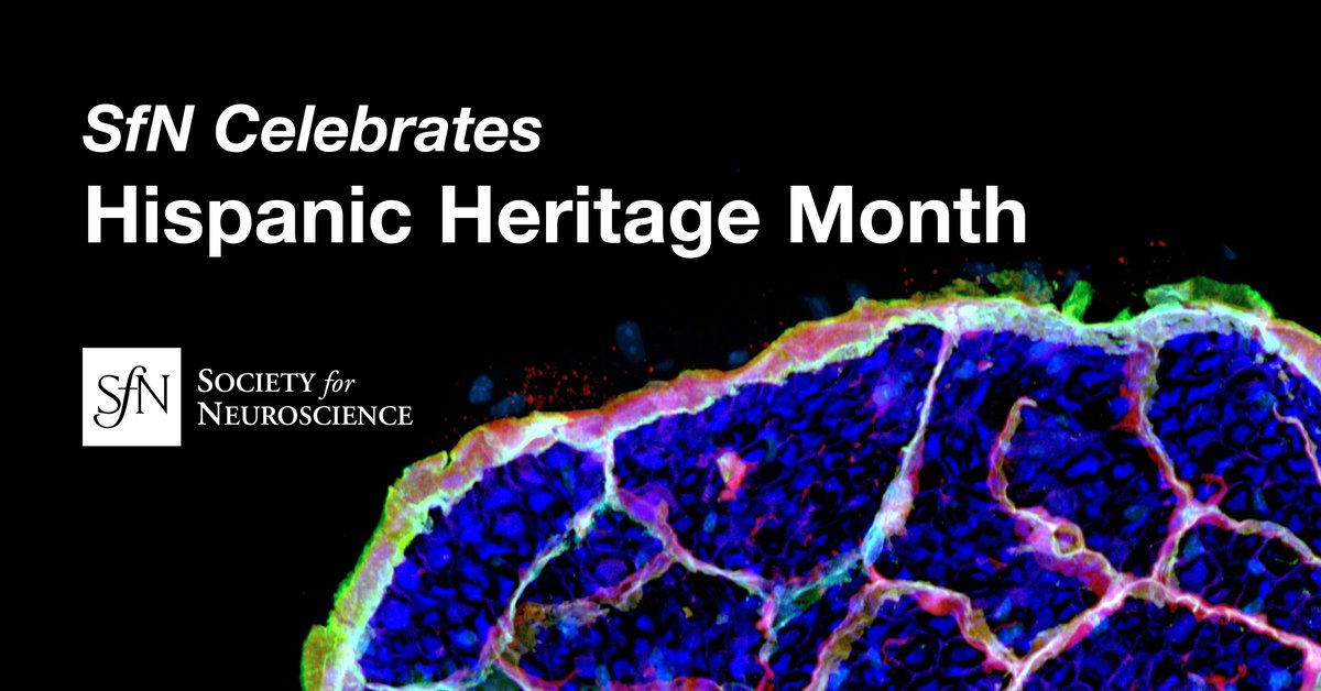 Celebrating #HispanicHeritageMonth and the contributions of Hispanic and Latinx neuroscientists.

As the field of neuroscience grows, it is important to create supportive and inclusive environments that recognize the importance of diversity and amplify representation in the