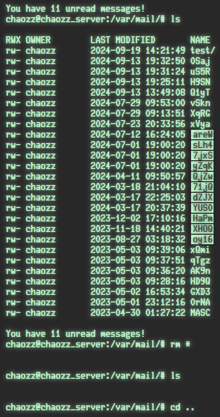 hackthegame's tweet image. i wasn't going to delete them one by one, so i added the option to do: rm /var/mail/*