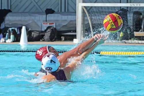 PCC Athletics tweet media