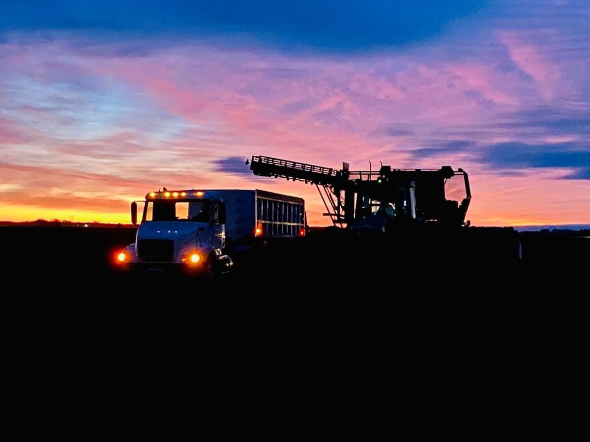 Scott Knutson tweet media