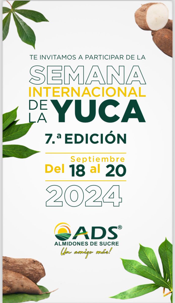 La yuca 🌱es un tesoro escondido para la bioeconomía y puede ser un motor de desarrollo sostenible en Colombia 🇨🇴 Agradezco la invitación de Almidones de Sucre a participar de la Semana de la Yuca 💪🏻👌🏻🙏🏻 para promover acuerdos de sostenibilidad e innovación en la cadena de valor