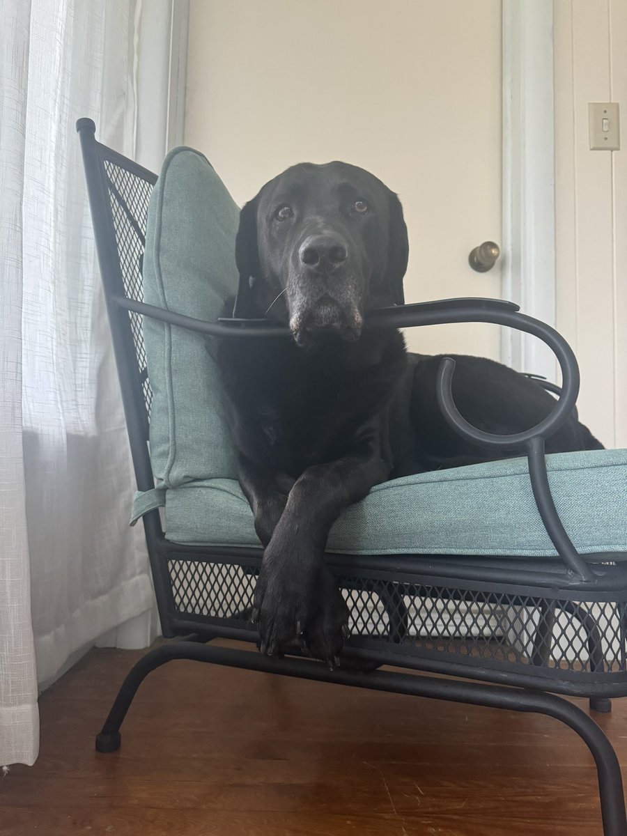 GlockAndRoll tweet media