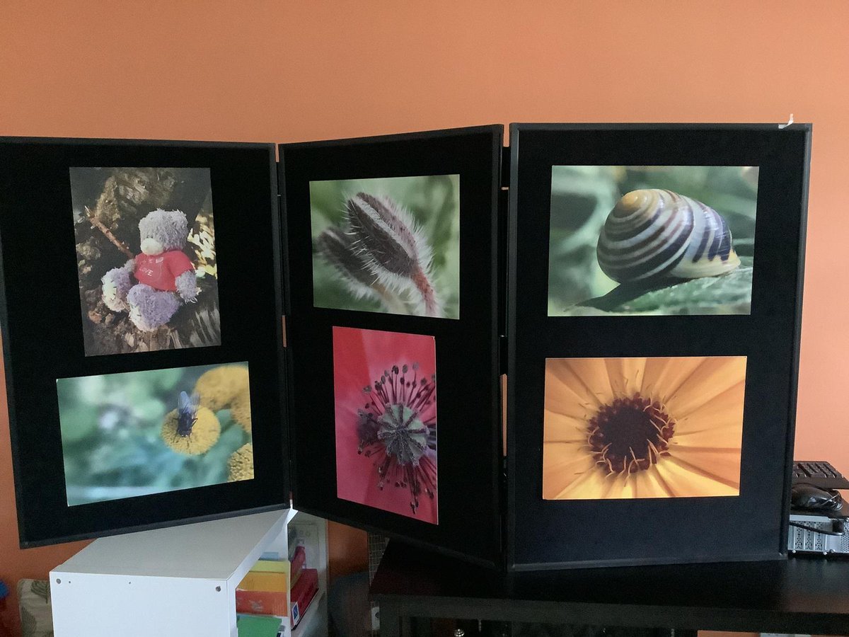 Celebration Exhibition of the final work of the 6 week Digital Content Creation course run by Digital Voice. 
All participants could take home prints of their photos and received a certificate too!