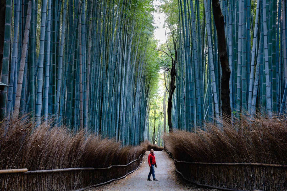 LuisLAtWork's tweet photo. We have the 🔑 to unlocking the full potential of #GenAI in your business—and we're sharing it with you. Learn why context grounding is crucial for your #AI strategy: https://t.co/WdmBv7OIjQ. https://t.co/cHLUs1cboF