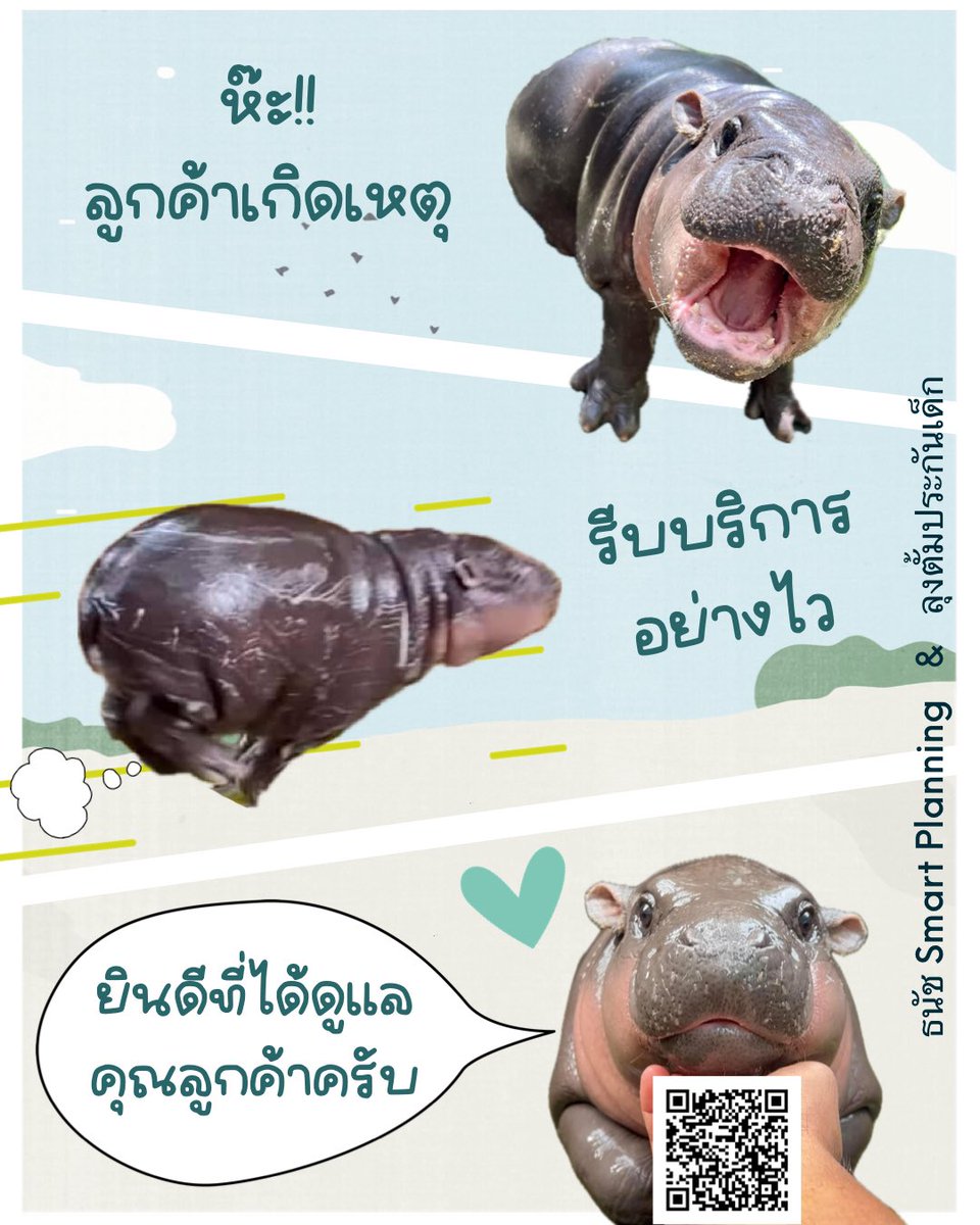 tum750's tweet photo. ขอขอบคุณคุณลูกค้าทุกท่านที่ไว้วางใจให้ตั้มได้ดูแล ยินดีบริการครับ 💓

สนใจวางแผนประกันสุขภาพ ออมเงิน บริหารภาษี ทักได้ครับ 😊
      Line ID: @uncletumm
      https://t.co/OBci0Y6hVL
ตั้ม 📲 : 086-3249179

#หมูเด้ง #ฮิปโปแคระ https://t.co/bqhqxwKoVC
