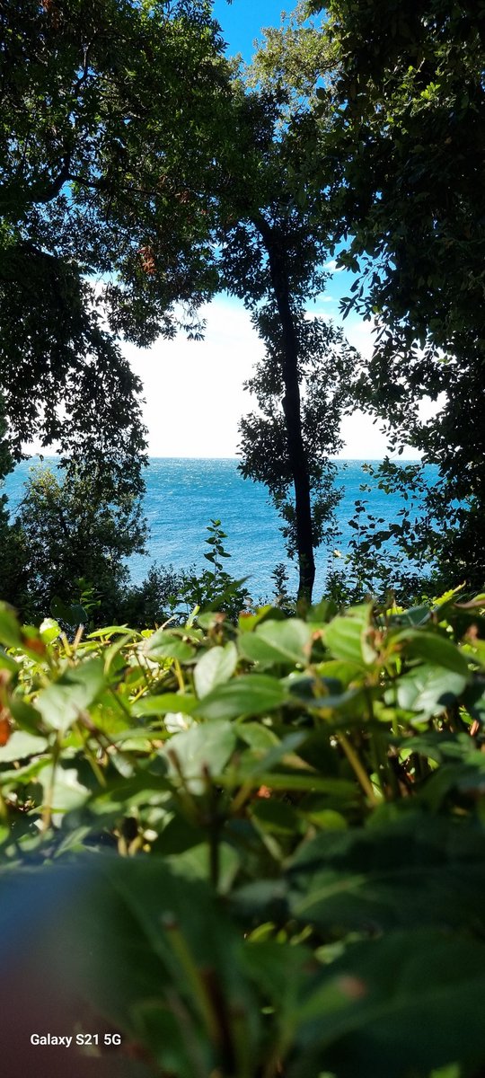 Grazie Trieste per avermi regalato tanta bellezza 🥰