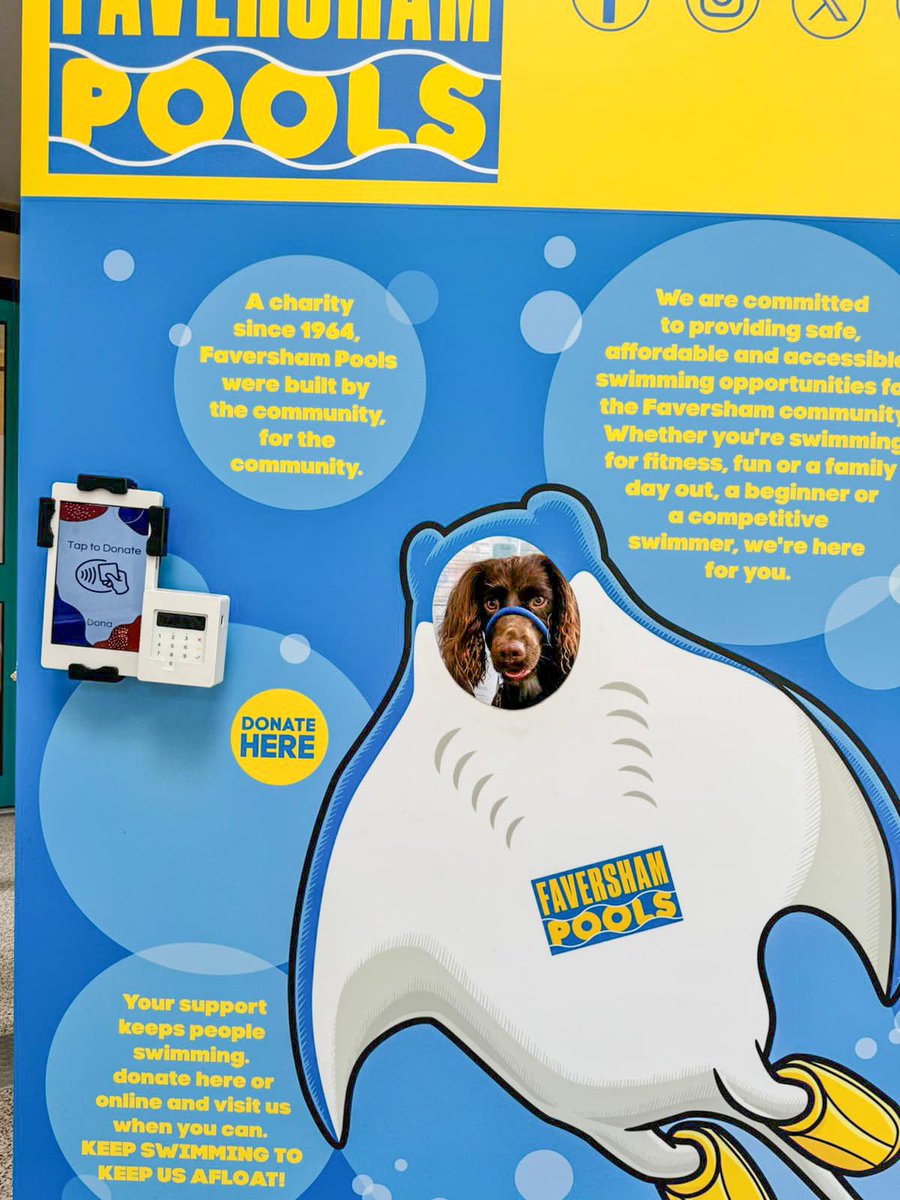 CommunityAd Ltd tweet media