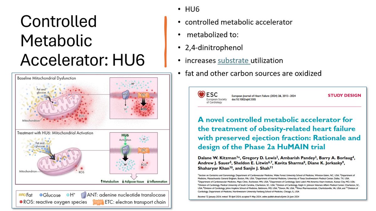 Ambarish will be presenting the results of our recently completed Phase 2a HuMAIN trial of HU6, a novel controlled metabolic accelerator, as part of Late Breaking Clinical Science sessions. 

<a href="/HFSA/">HFSA</a> 
<a href="/MidAmericaHeart/">Saint Luke's Mid America Heart Institute</a>