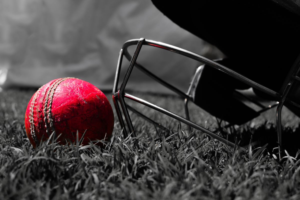 World Sports Betting tweet media