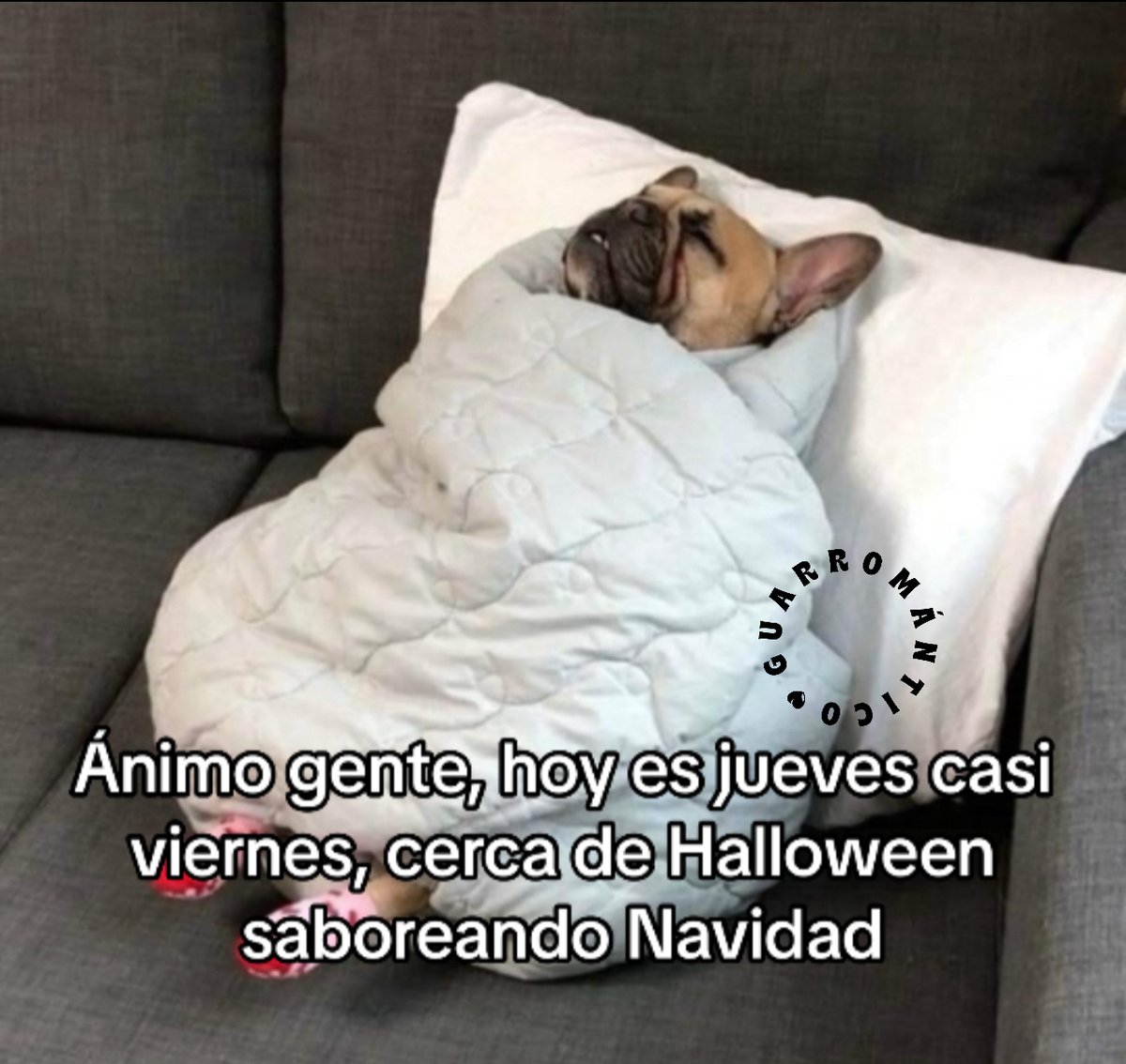 AquiLoLei's tweet photo. Ánimo. https://t.co/C5ECQwdoky