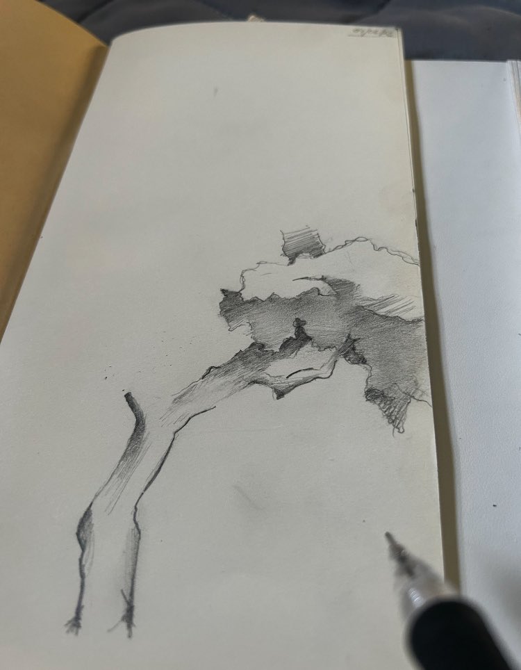 Half sketches 💄🌫️