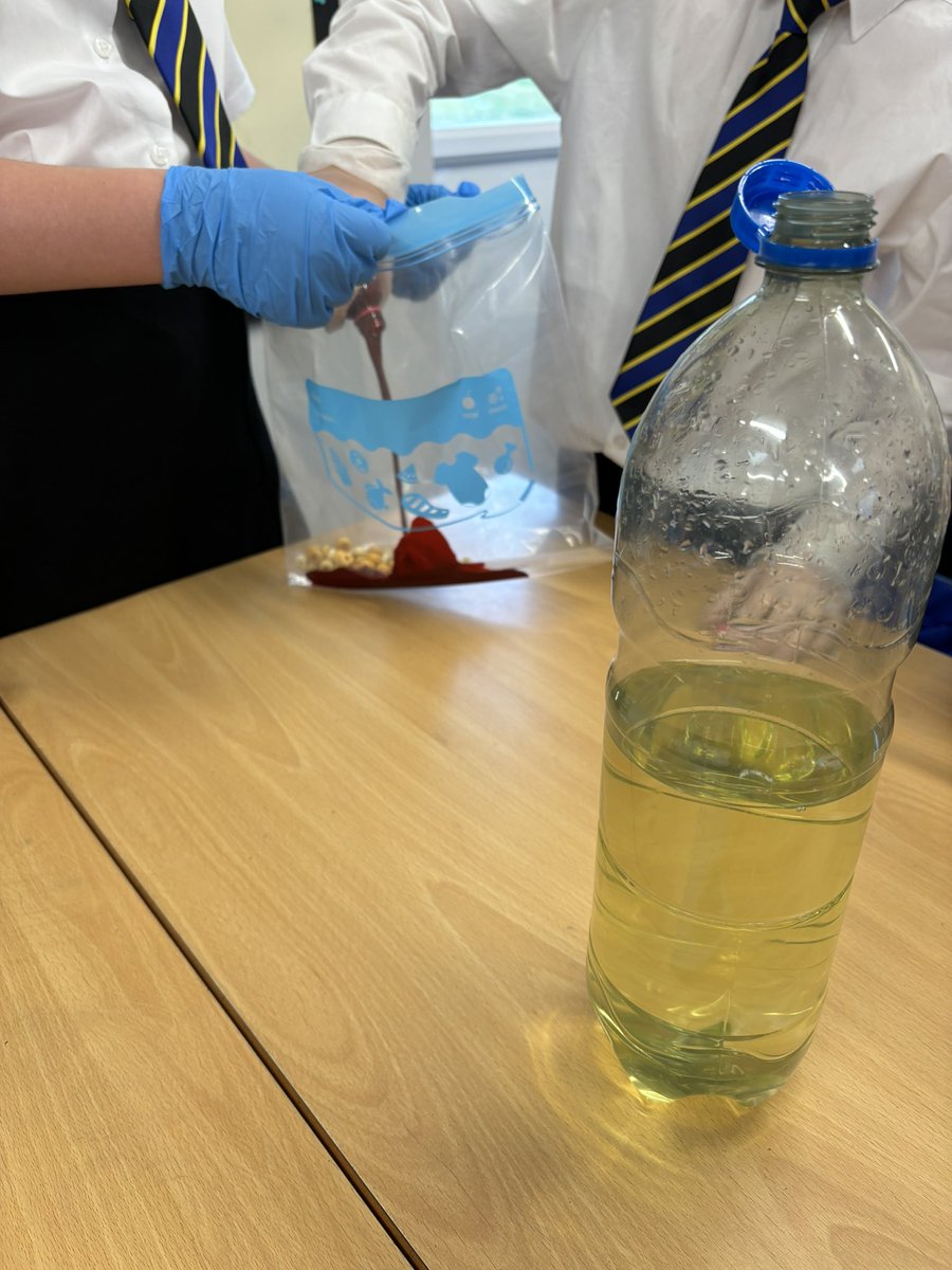 Morley Place Academy tweet media