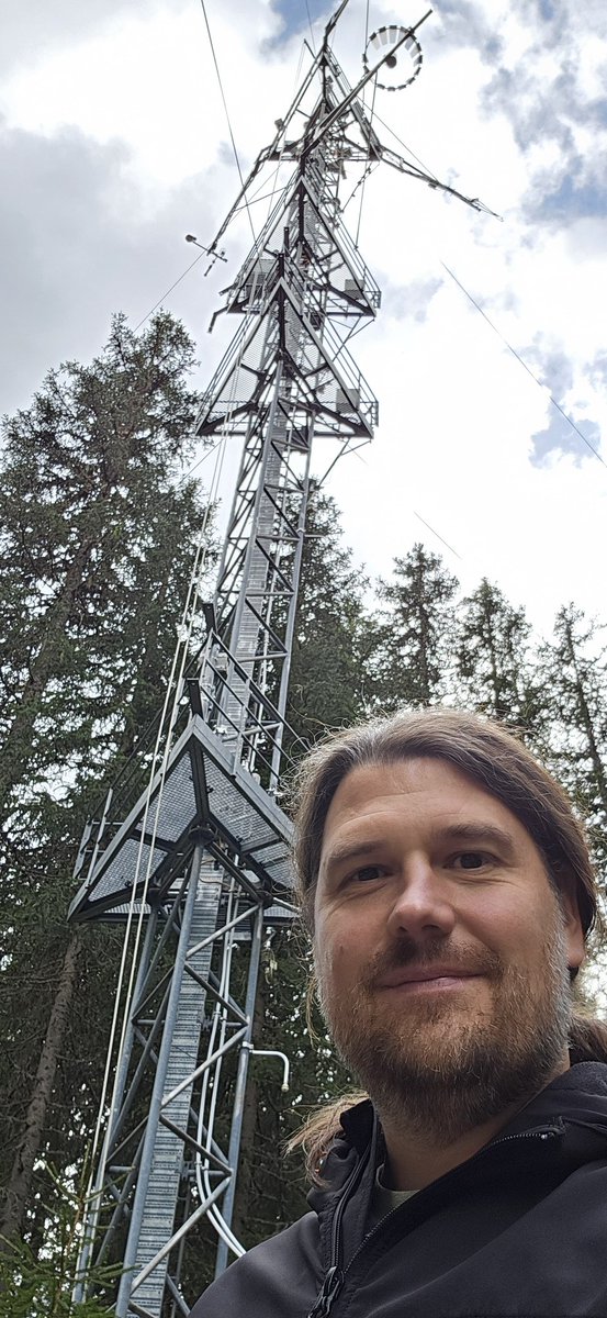 LehmannMM tweet media