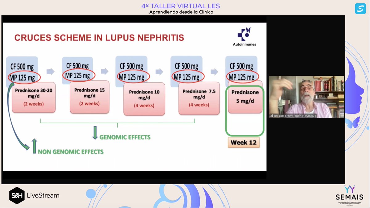 Tras afirmar q ningún inmunosupresor o biológico ha demostrado superioridad sobre ciclofosfamida como tratamiento de inducción de la nefritis lúpica", el Dr Ruiz Irastorza nos muestra el esquema de tratamiento de la nefritis lúpica en <a href="/equipo_eas/">Autoinmunes Cruces</a>.