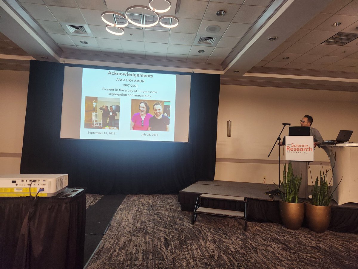 SpektorLab's tweet image. Terrific session dedicated to the memory of Angelika Amon, with a tribute by @JSheltzer and outstanding talks by @JSheltzer, @ZStorchova, @SteSantaguida and others. #ANESRC