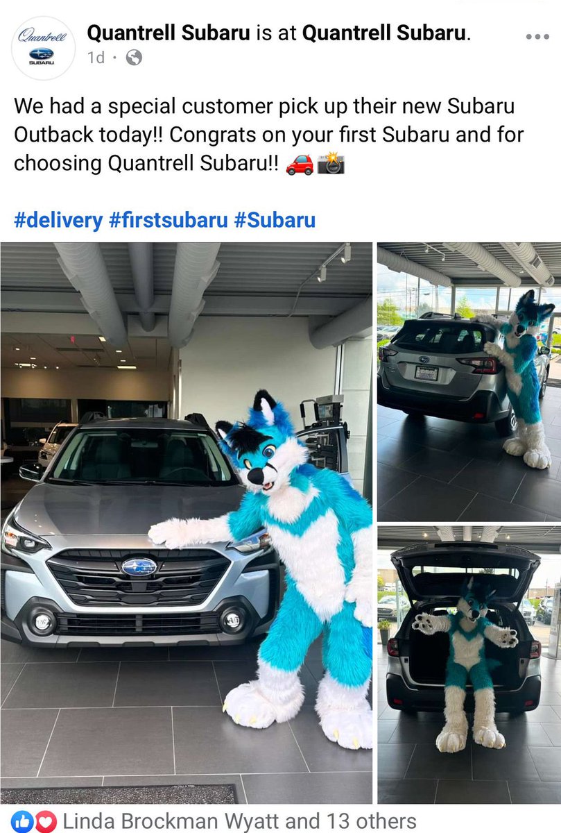 no context furry (@furrynocontext) on Twitter photo 