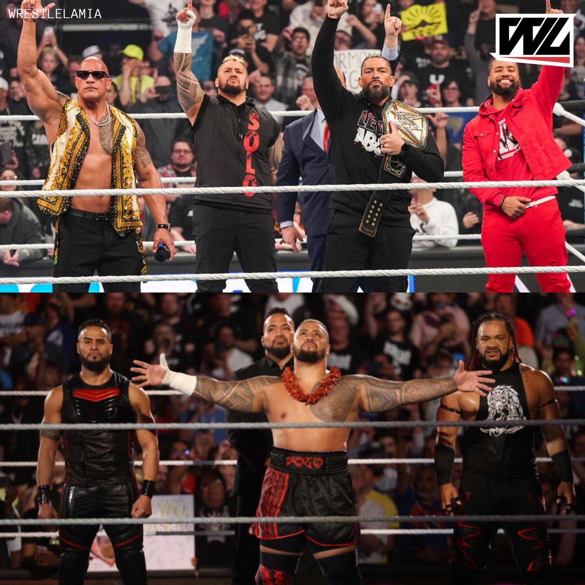 Wrestlelamia.com tweet media