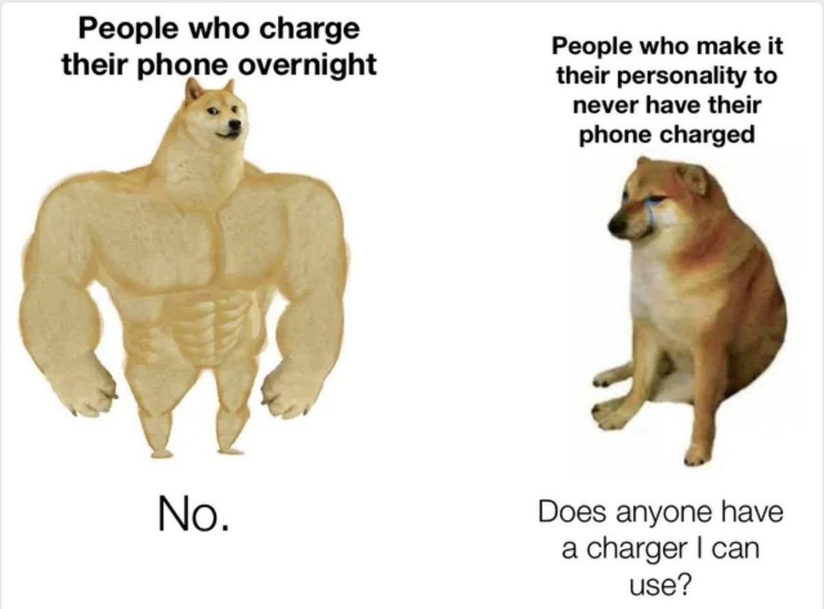 Space Dragons Guild tweet media