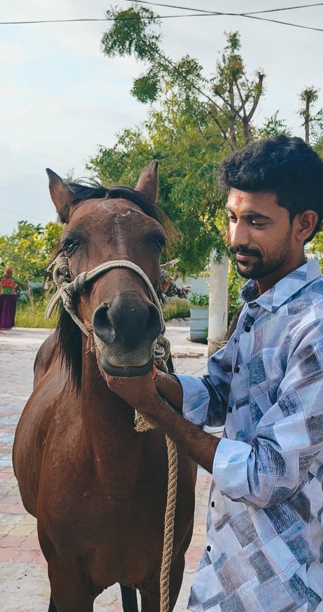 ભલ ઘોડા, વલ વંકડા, હલ બાંધવા હથિયાર, ઝાઝા ઘોડામાં ઝીંકવા, મરવું એક જ વાર.
ઇશ્વર સુથાર