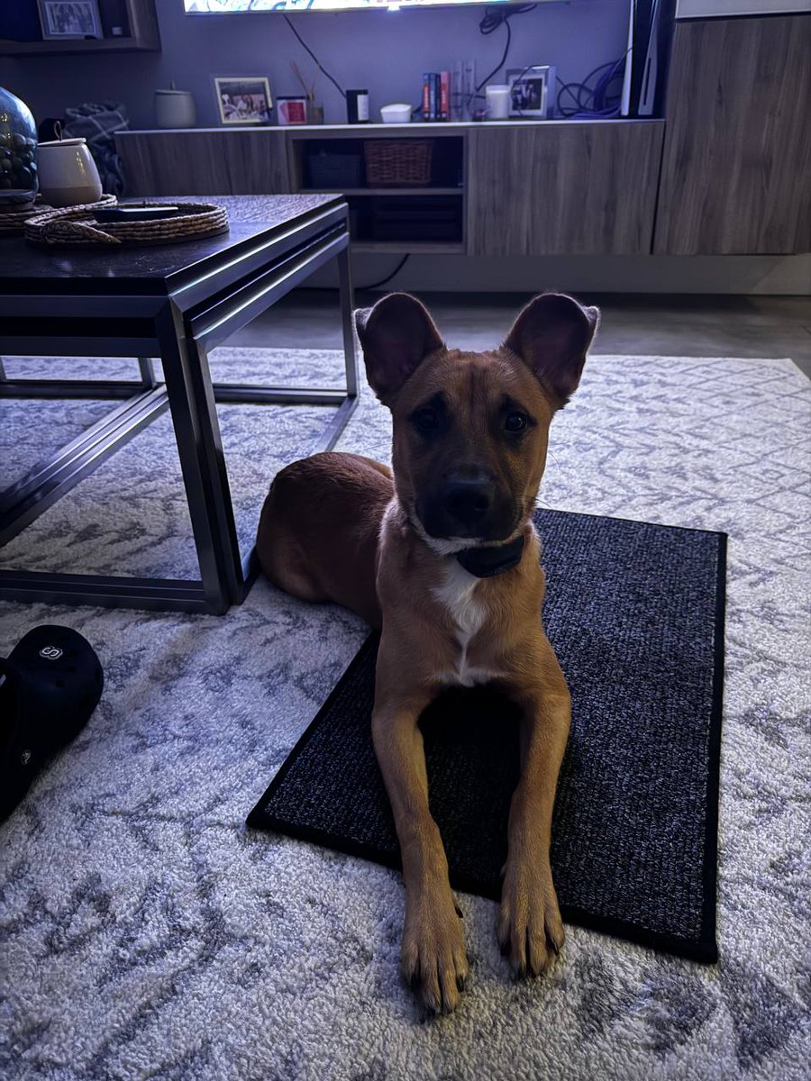 IShouldStudy tweet media