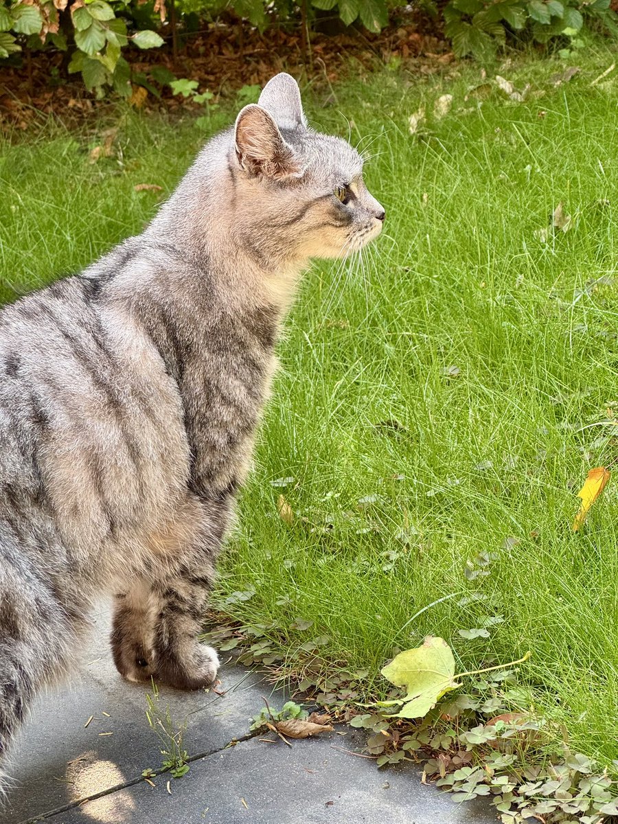 Oppaskatje Do geniet ook nog even van het najaarszonnetje