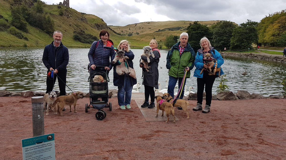 Lord Wicket 🐾🏴󠁧󠁢󠁳󠁣󠁴󠁿 feat. Lady Bogle 🐾🥰 tweet media