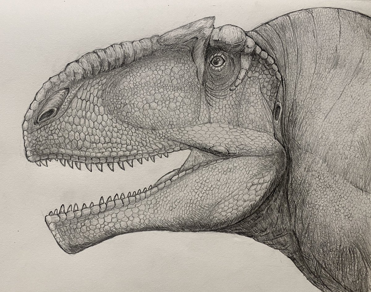 VexingRen tweet media