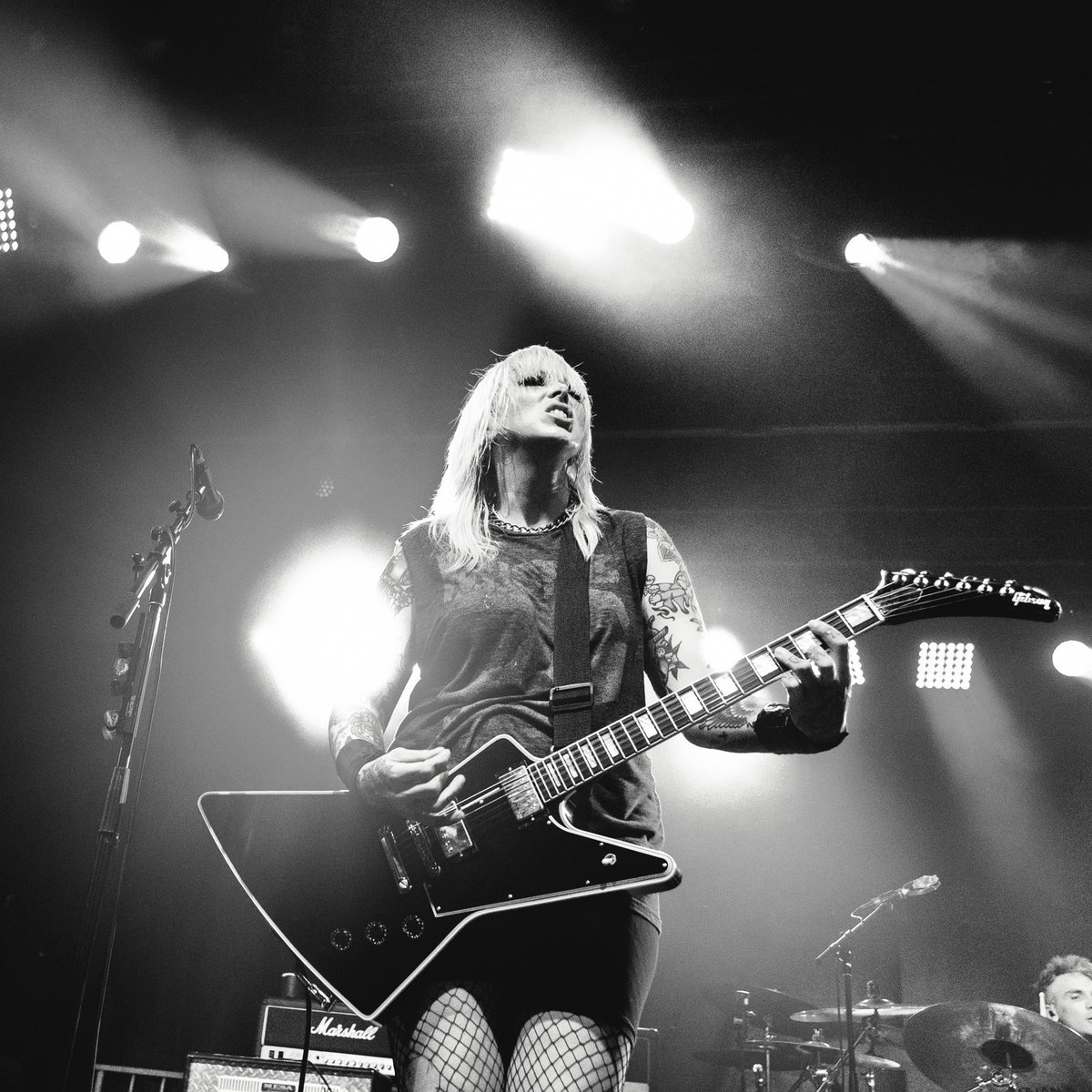 THE ANTI-QUEENS tweet media