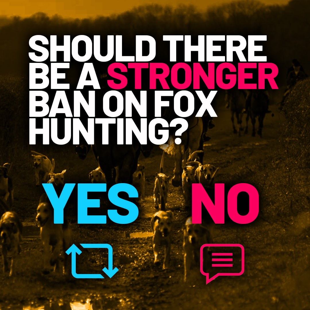 If you think YES, please sign our petition today protectthewild.org.uk/our-campaigns/…