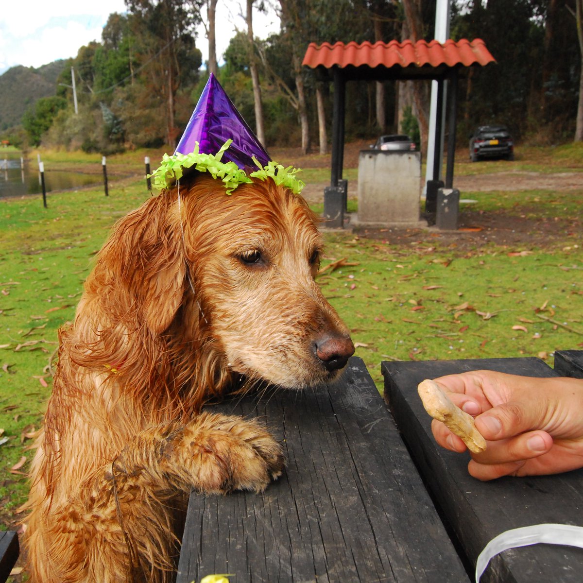 K. Loaiza tweet media