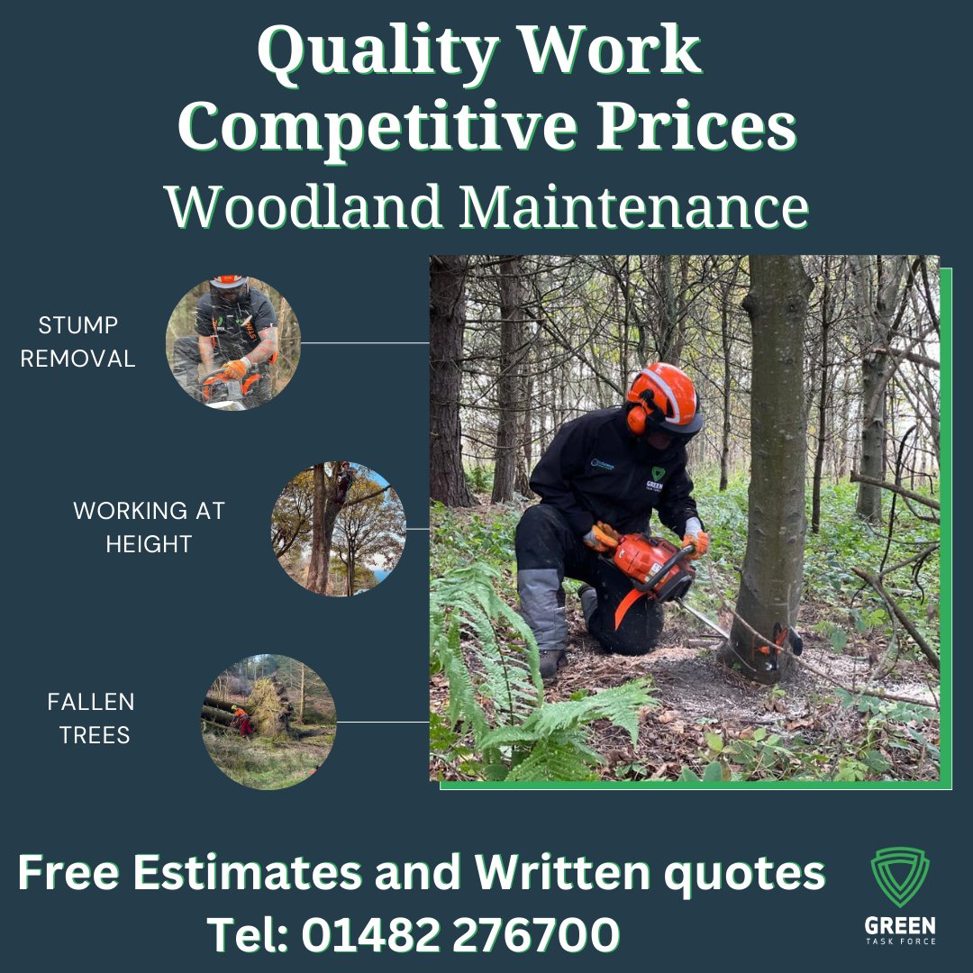 Our 'veterans' team are available to undertake a wide range of tasks, including Fence installation and repairs.woodland mangment 

We have the capabilities for various fjobs including 
 🌳 Arborist Work
 🌳Tree Care/Tree Surgery
 🌳Tree Inspection
 🌳Tree Pruning
 🌳Tree Fell ...