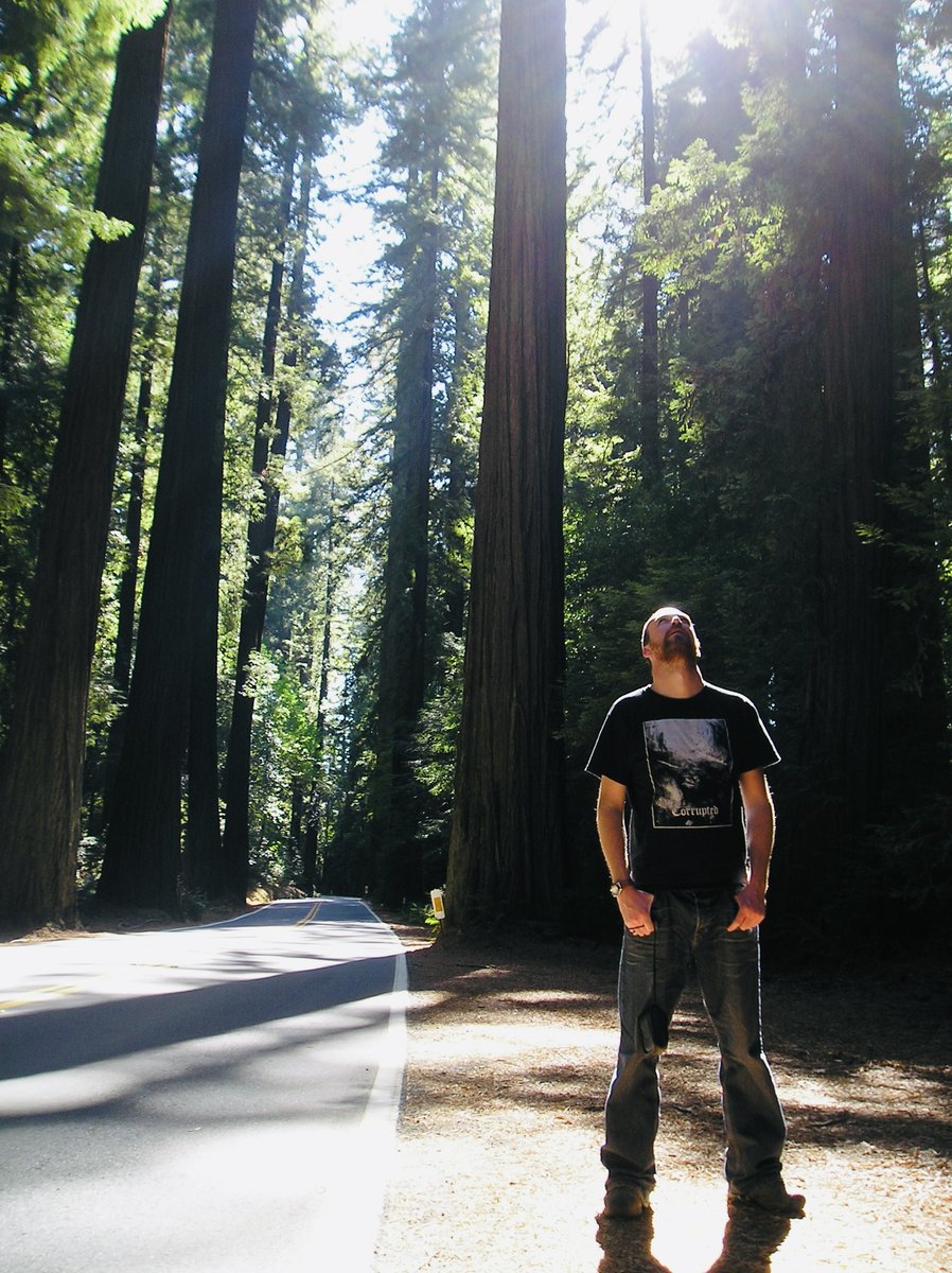 Wandering Oak tweet media