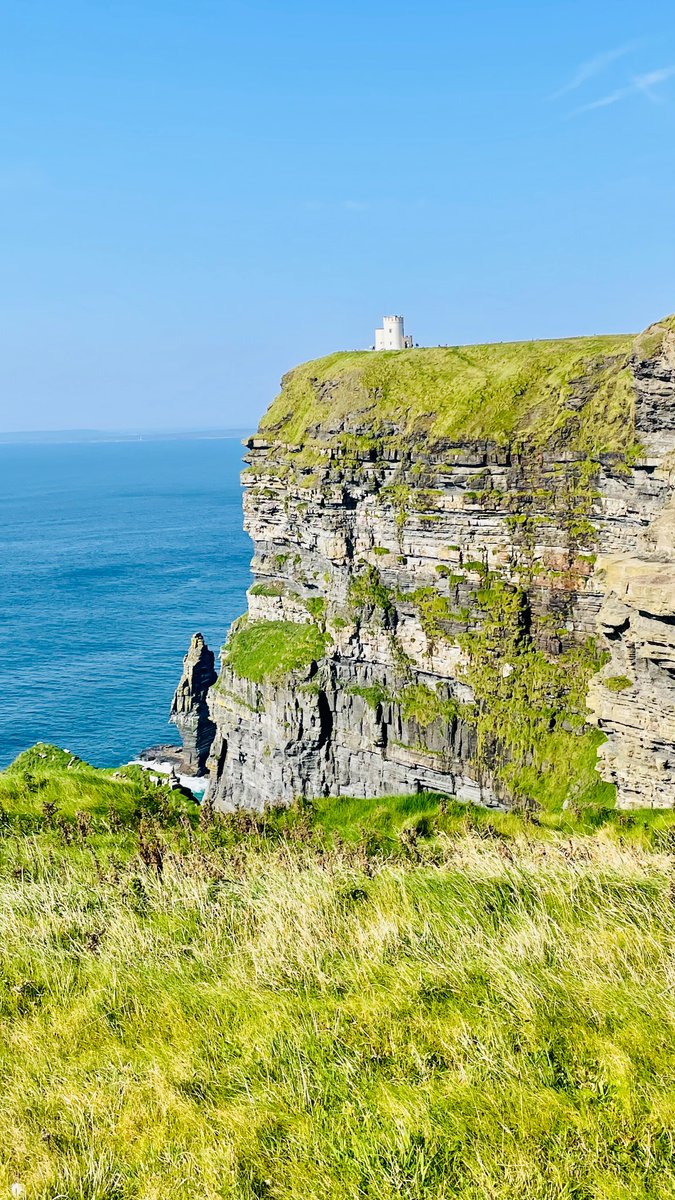 Rob Meyer tweet media