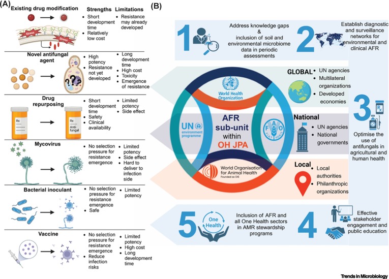 Prof Brajesh Singh (@prof_braj_singh) on Twitter photo New paper from the lab-Environmental microbiome, human fungal pathogens, and antimicrobial resistance.
in <a href="/TrendsMicrobiol/">Trends in Microbiology</a> of <a href="/CellPressNews/">Cell Press</a>
We propose an integrated roadmap for predictive risk management of anti-fungal resistance that is critical for effective surveillance New paper from the lab-Environmental microbiome, human fungal pathogens, and antimicrobial resistance.
in <a href="/TrendsMicrobiol/">Trends in Microbiology</a> of <a href="/CellPressNews/">Cell Press</a>
We propose an integrated roadmap for predictive risk management of anti-fungal resistance that is critical for effective surveillance