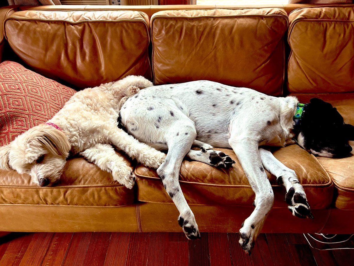 Nate Wolff tweet media