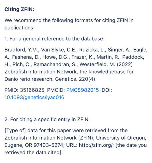 We ❤️ MODs!

Want an easy way to support model organism databases? Cite them!

Depending on the #zebrafish data you retrieve from
<a href="/ZFINmod/">ZFIN</a>, you can show your support by using one of the formats below: