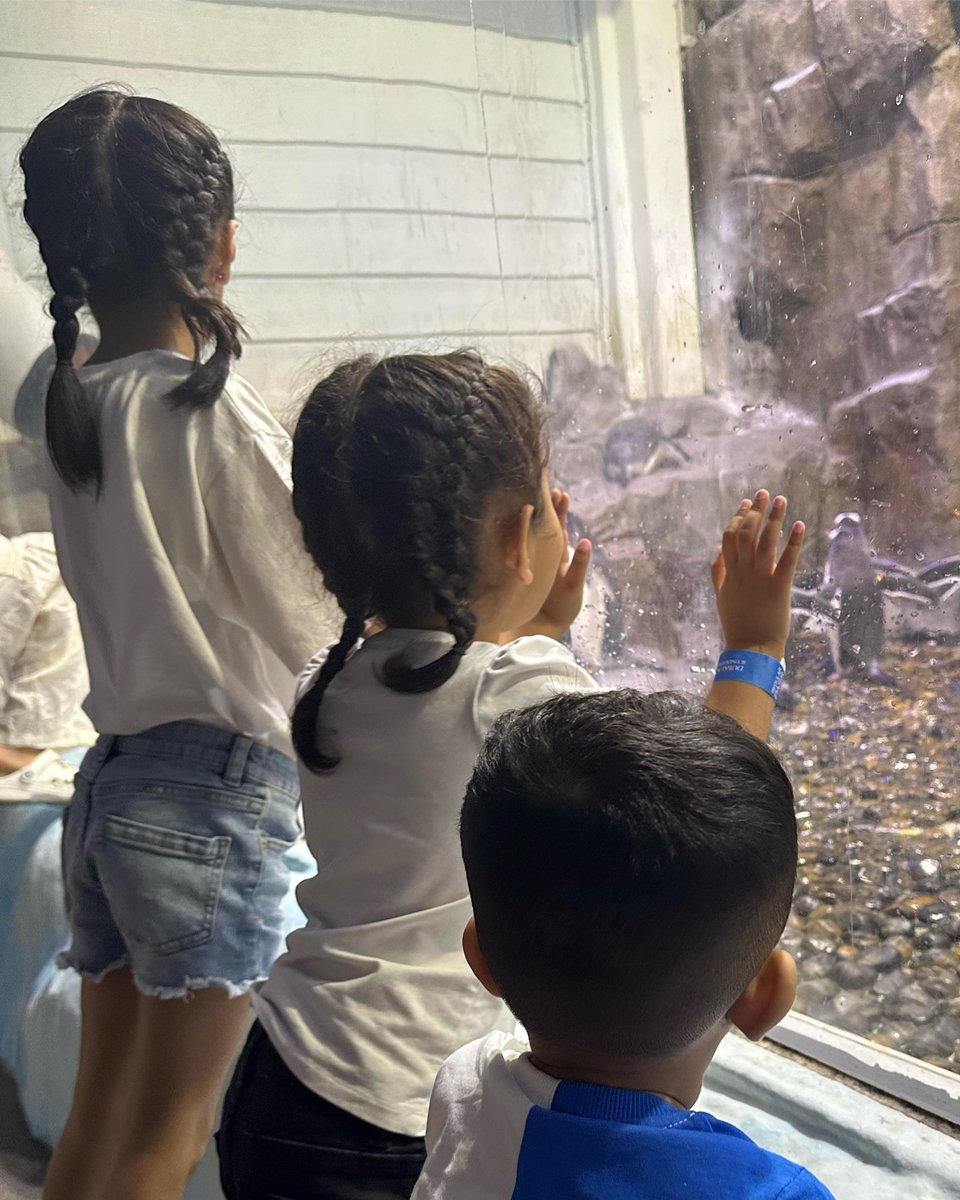 nafeesa_12's tweet photo. Making memories that will last a lifetime  #penguinwatch #thursdayTB #dubaiaquarium #takemeback. #lifeexperiences https://t.co/MJ7GcQJhLT