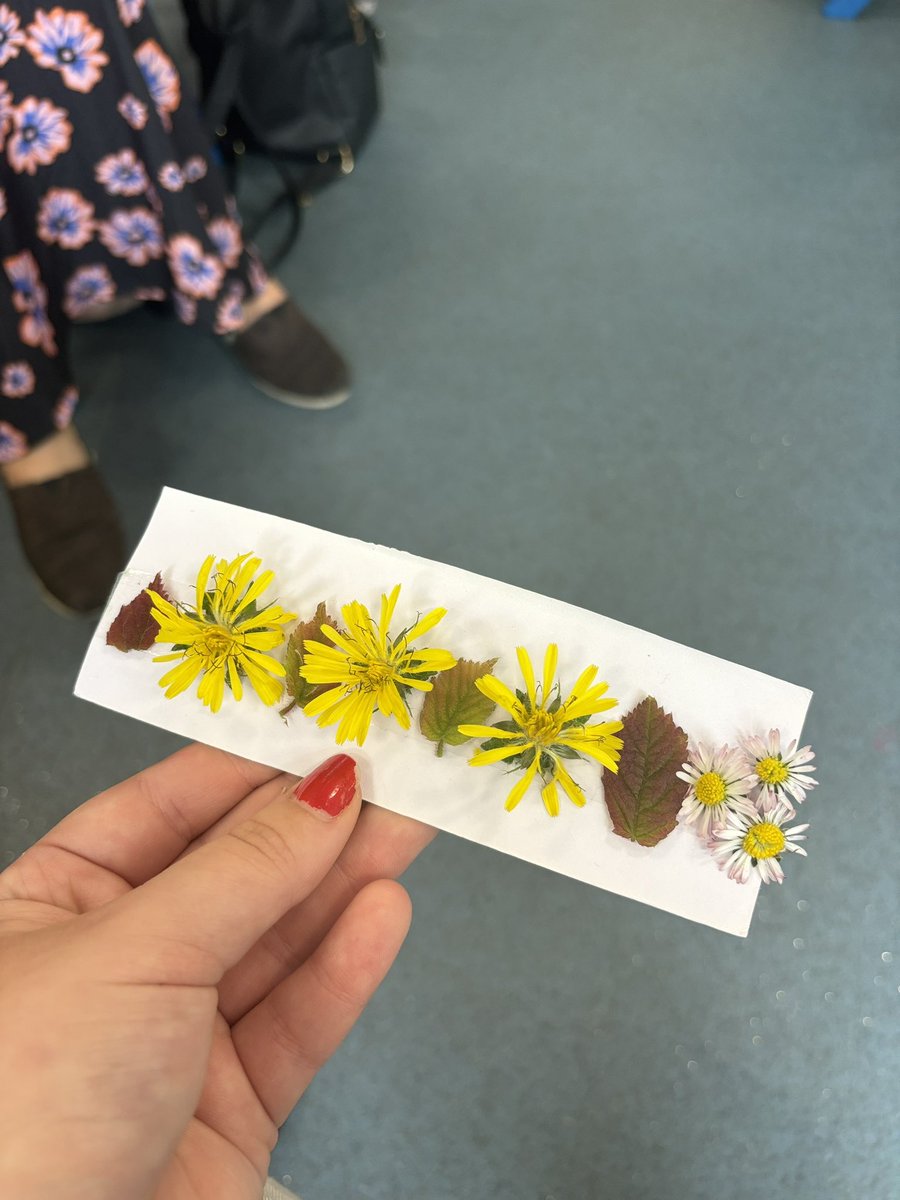 Day 1 Froebel training 🌳🧮🌸 <a href="/FroebelTrust/">Froebel Trust</a>