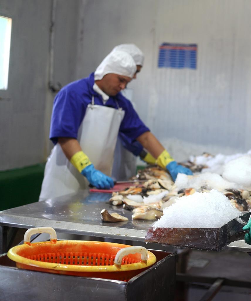 <a href="/GalloDanay/">Danay Gallo</a> <a href="/GrupoPesquero/">Grupo Empresarial de la Industria Pesquera</a> PRESENTES, apoyando y divulgando los resultados productivos de EPISAN y sus UEBS 
en #SanctiSpíritusEnMarcha de las Empresas que Cumplen en nuestro <a href="/GrupoPesquero/">Grupo Empresarial de la Industria Pesquera</a> #PescaPorCuba 
<a href="/AlbertoLopezcu/">Alberto López Díaz</a> <a href="/DeivyPrezMartn1/">Deivy Pérez Martín</a> <a href="/PosadaLoriga/">Armando Posada Loriga</a> <a href="/SntiapNacional/">SNTIAP Nacional</a> <a href="/Pescaspir01/">PESCASPIR</a> <a href="/COPMAR313699/">COPMAR</a>