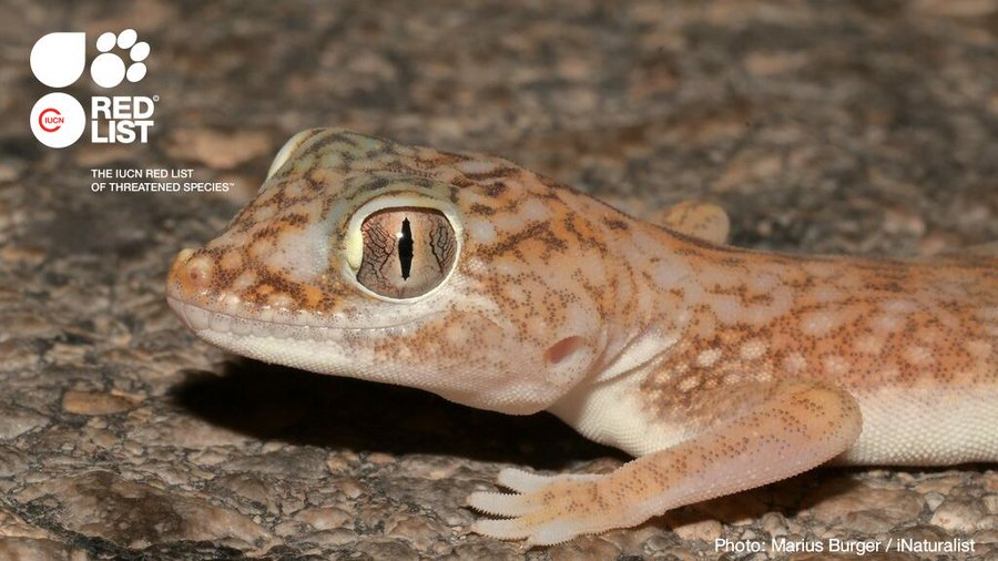 UN Biodiversity tweet media