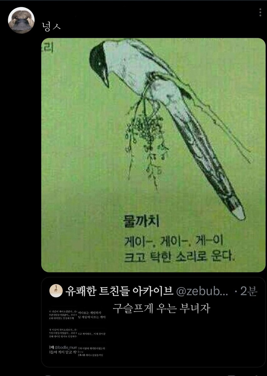 zebub_funny's tweet photo. https://t.co/kNoQDhI3Yz