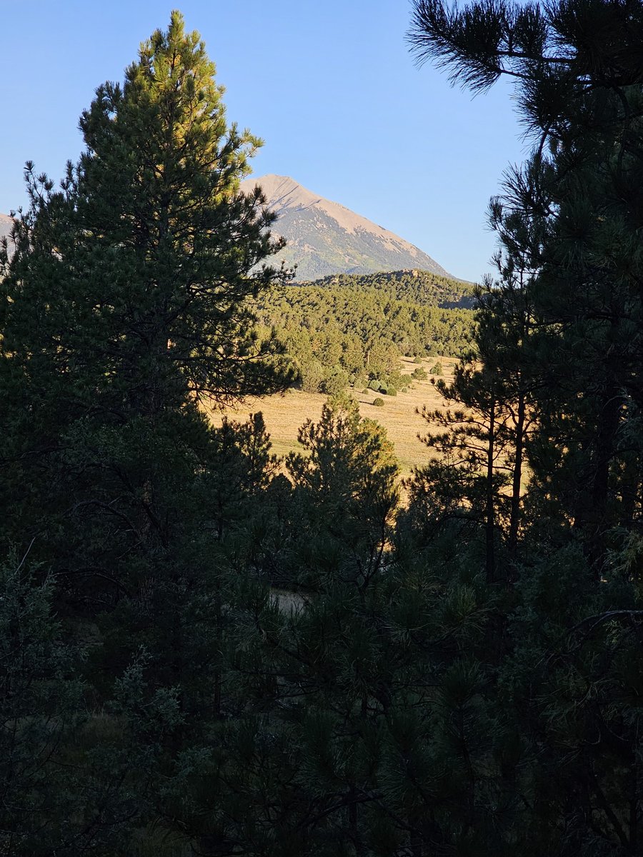 nyxxiana's tweet photo. Was heading out on a med call this am and caught a decent pic of the Moonset at 65 MPH thru the window down a dirt road. 🤣🌑
&amp; a pretty sunrise highlighting our meadow &amp; east peak before call went out. 

Now FOOD. 🔥🚒🇺🇸

#Weewoo #SPVFD #Volunteer #Firefighters https://t.co/O68g3JAYsI