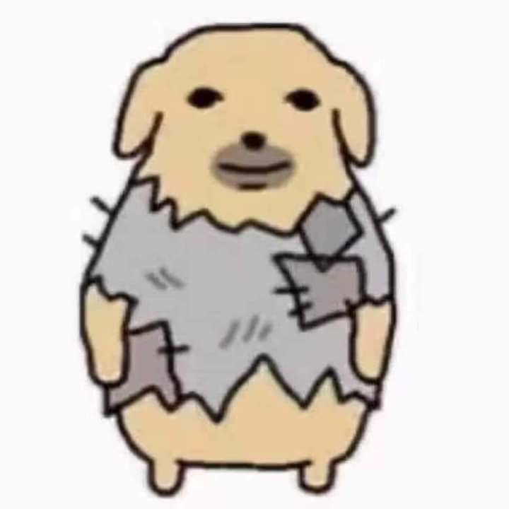 โคตรหมาเก่า

#killerpeter