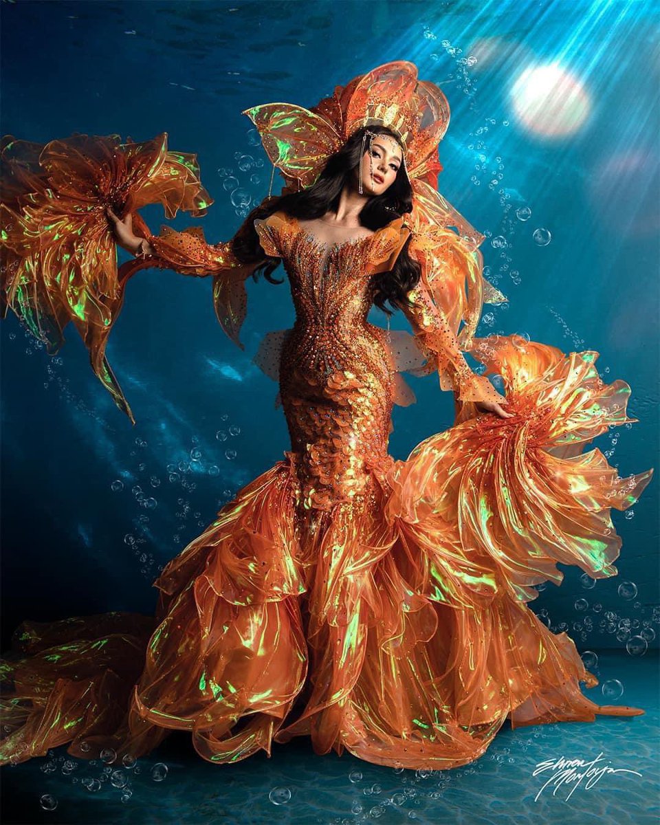 dandandandalandan tweet media