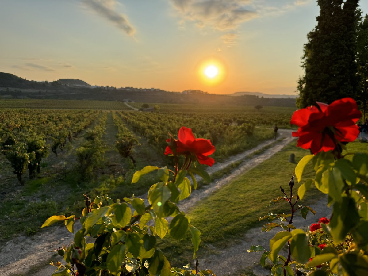 Michael Flarup tweet media