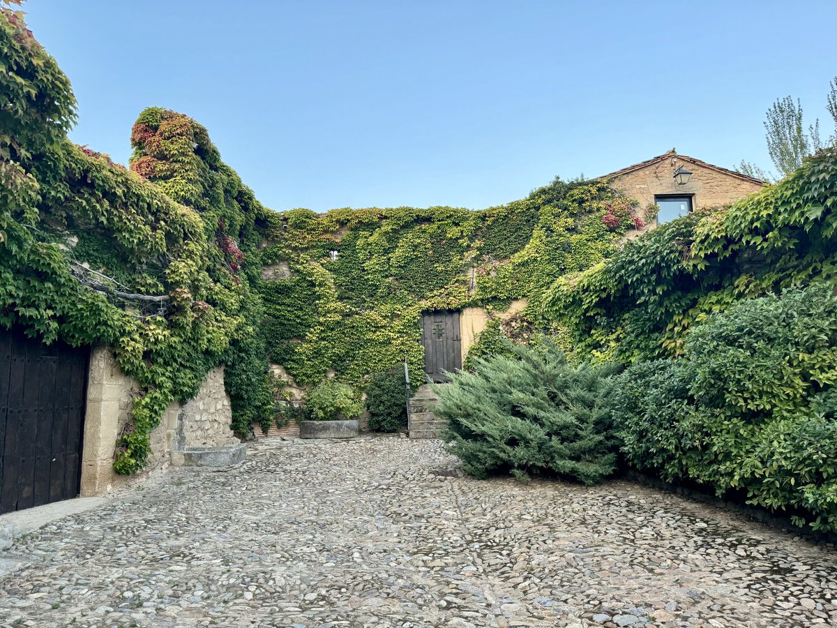 Michael Flarup tweet media